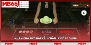 Tips bắt cầu chẵn lẻ – Phương pháp nâng cao tỷ lệ chiến thắng