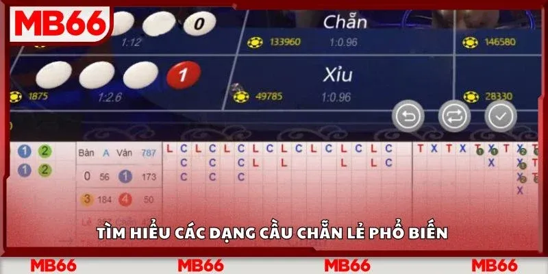 Bí kiếp bắt cầu chẵn lẻ dễ áp dụng
